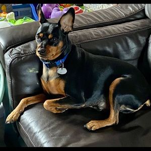 Meet your Posher, Julie